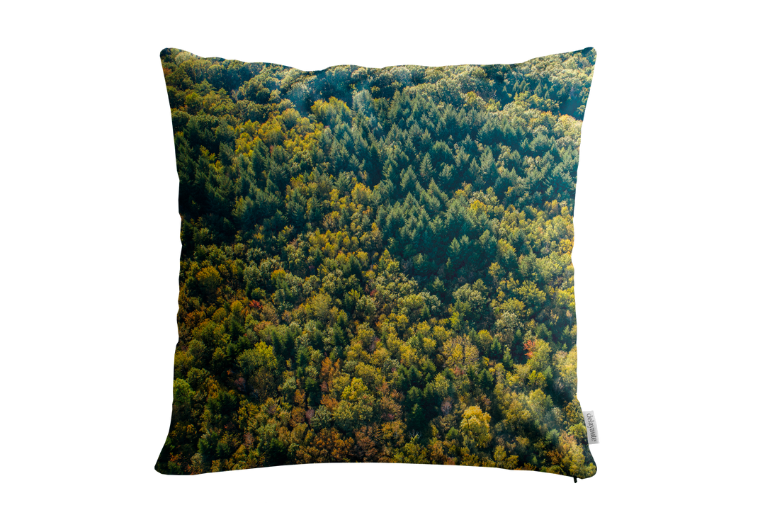 Forêt du Chablais (45x45cm couleur)